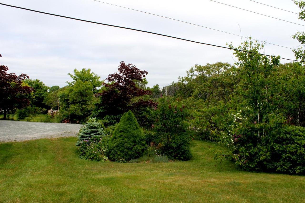 Mackenzie House B&B By Elevate Rooms Port Hawkesbury Exterior photo